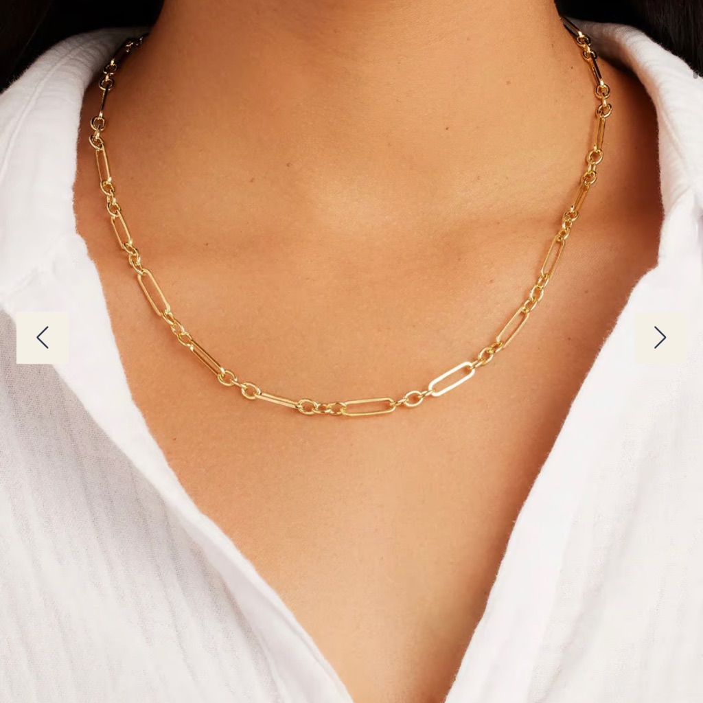 Gorjana Gold Chain Necklace 65$